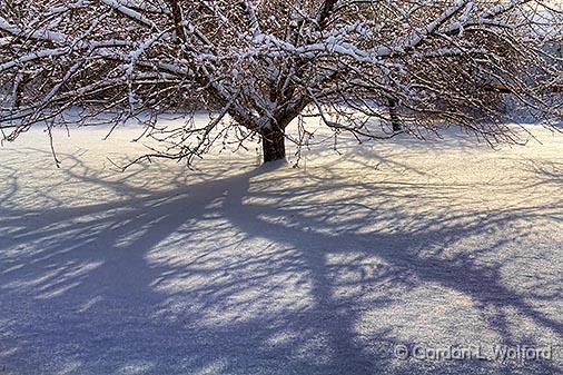 Snowscape Shadow_32311.jpg - Photographed at Smiths Falls, Ontario, Canada.